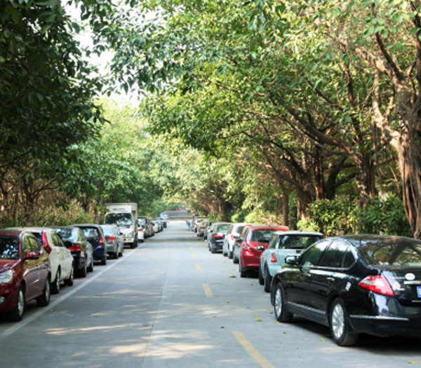 深圳智慧路边停车管理信息系统项目